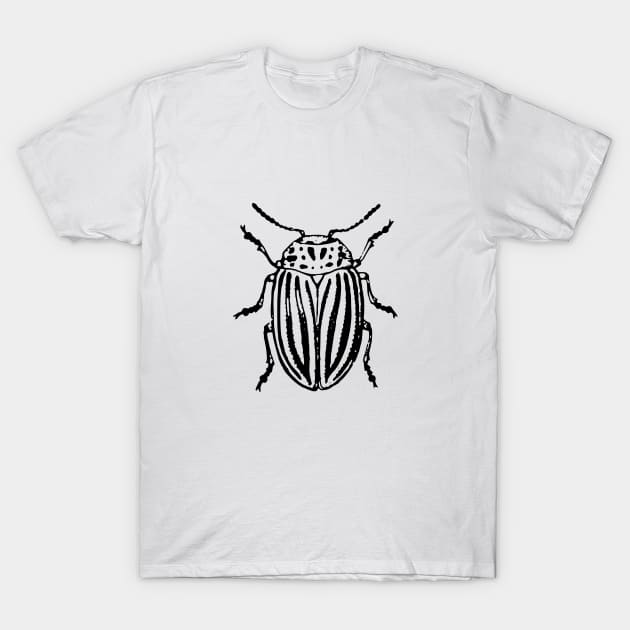 Beetle T-Shirt by xam